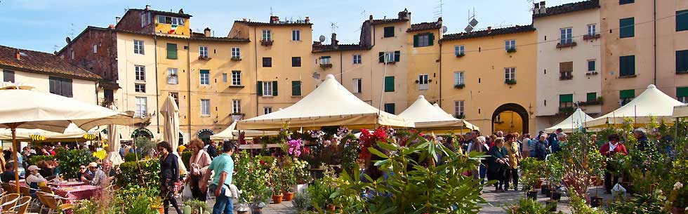 santa zita Lucca fiori anfiteatro